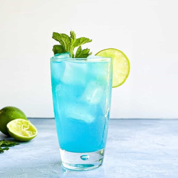 MOJITO (SMALL)